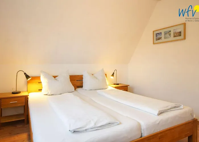 Seehundje 21 * 博尔库姆